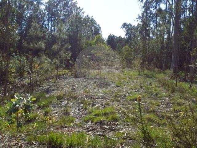 Terreno à venda em Fonte de Angeăo