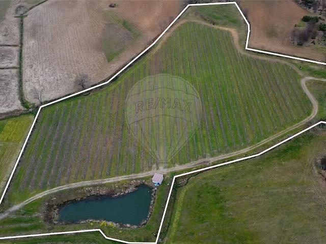 Terreno à venda em Fonte Longa, Carrazeda de Ansiães RE/MAX Portugal