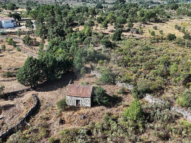 Terreno à venda em Fornos de Algodres, Fornos de Algodres RE/MAX Portugal