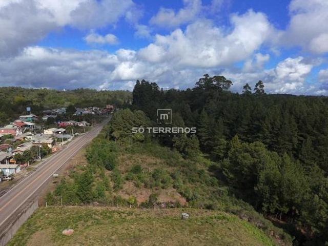 Terreno à venda em Forqueta