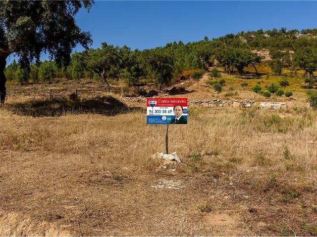 Terreno à venda em Fortios, Portalegre RE/MAX Portugal