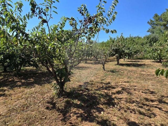 Terreno à venda em Fatela, Fundão RE/MAX Portugal