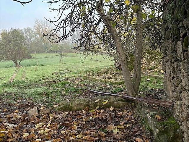 Terreno à venda em Fatela, Fundão RE/MAX Portugal