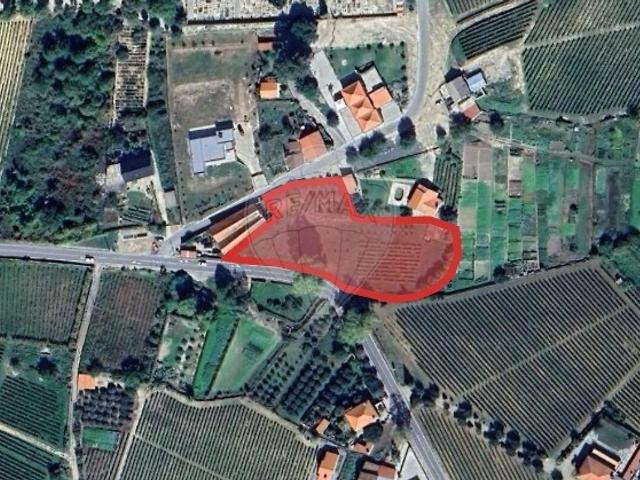 Terreno à venda em Favaios, Alijó RE/MAX Portugal