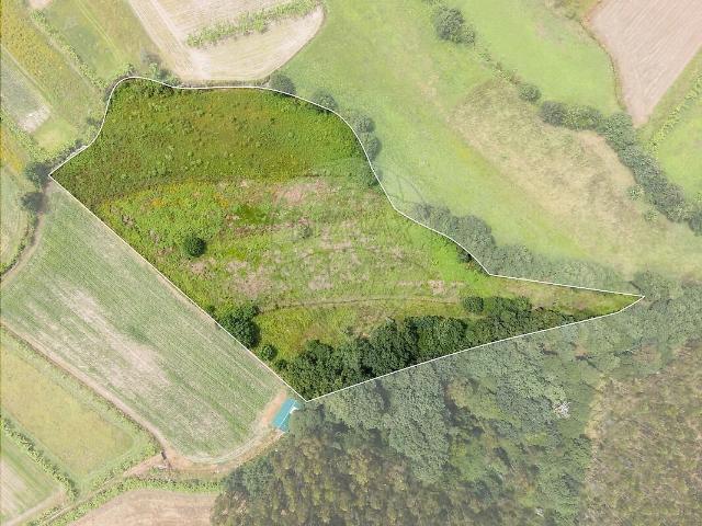 Terreno à venda em Facha, Ponte de Lima RE/MAX Portugal
