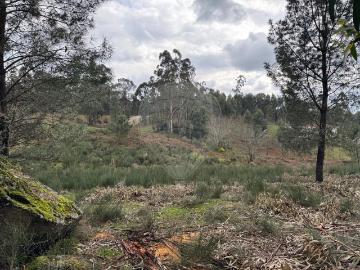 Terreno à venda em Fafe