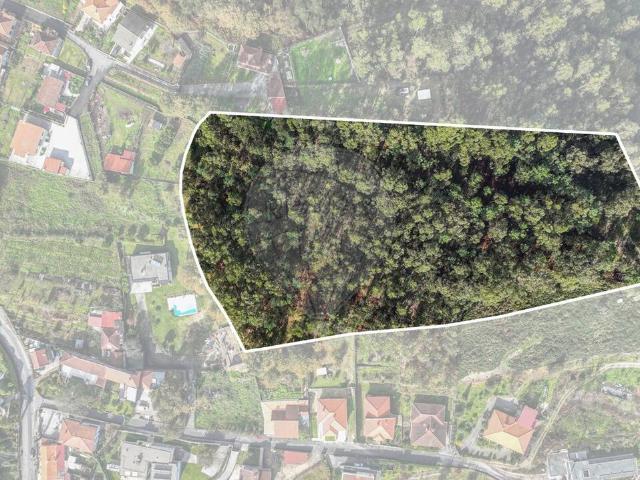 Terreno à venda em Fafe