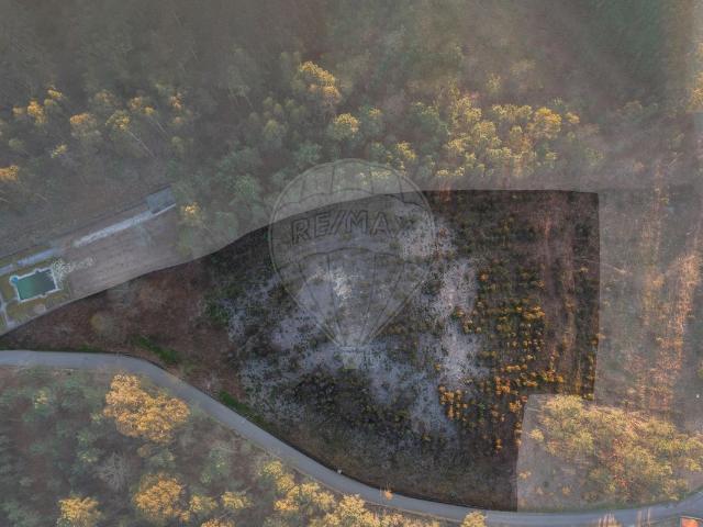Terreno à venda em Fafe