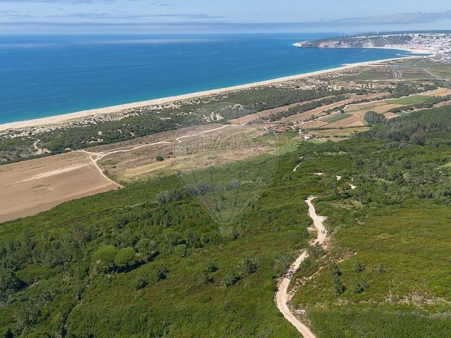 Terreno à venda em Famalicão, Nazaré RE/MAX Portugal