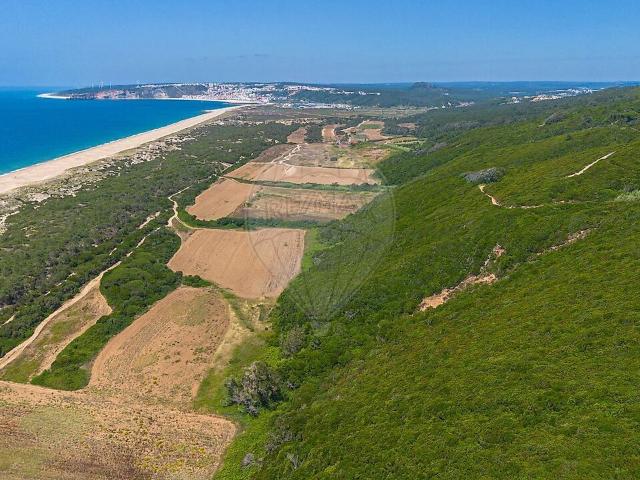 Terreno à venda em Famalicão, Nazaré RE/MAX Portugal