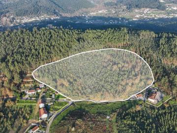 Terreno à venda em Felgueiras