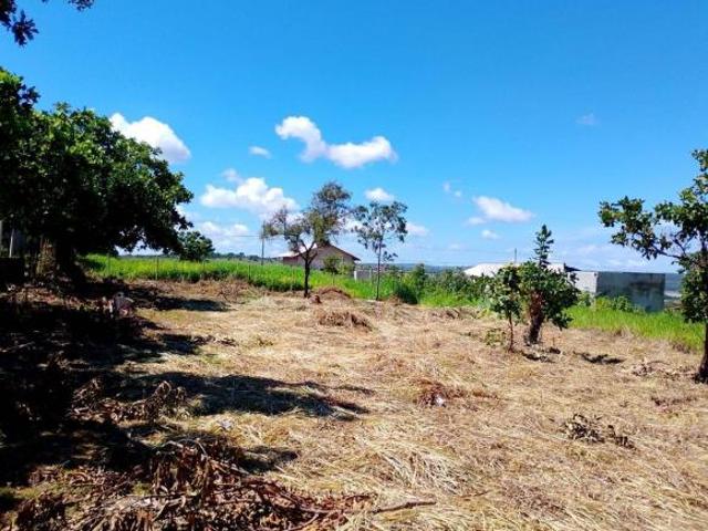 Terreno à venda em Felixlândia