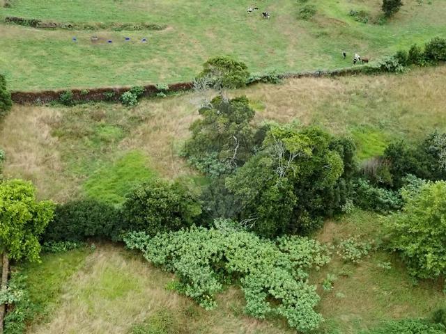 Terreno à venda em Fenais da Luz, Ponta Delgada RE/MAX Portugal