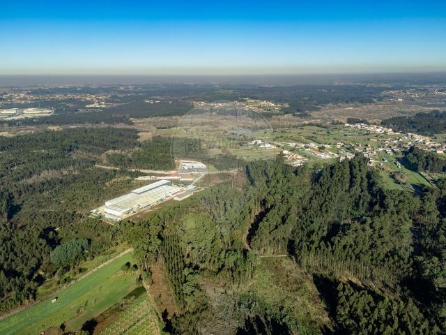 Terreno à venda em Fermentelos, Águeda RE/MAX Portugal