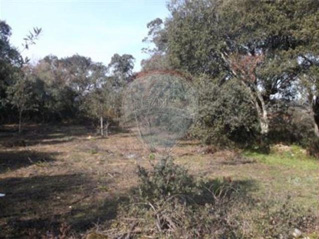 Terreno à venda em Ferreira do Zêzere