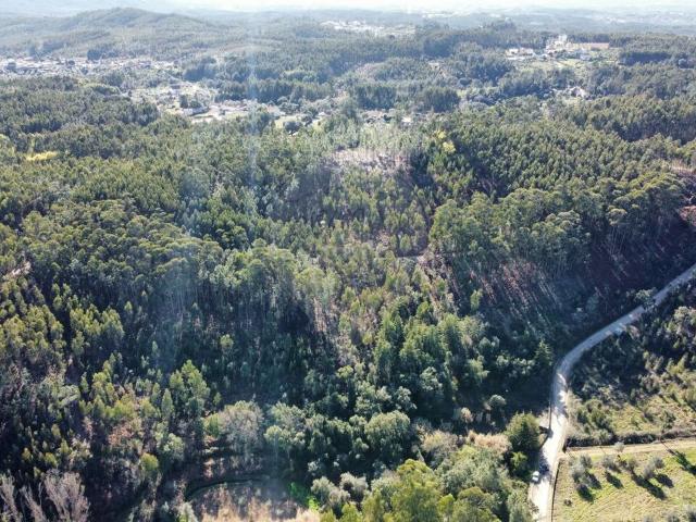 Terreno à venda em Ferreira do Zêzere
