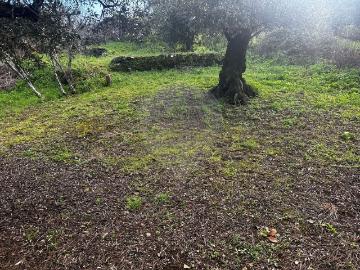 Terreno à venda em Ferreira do Zêzere