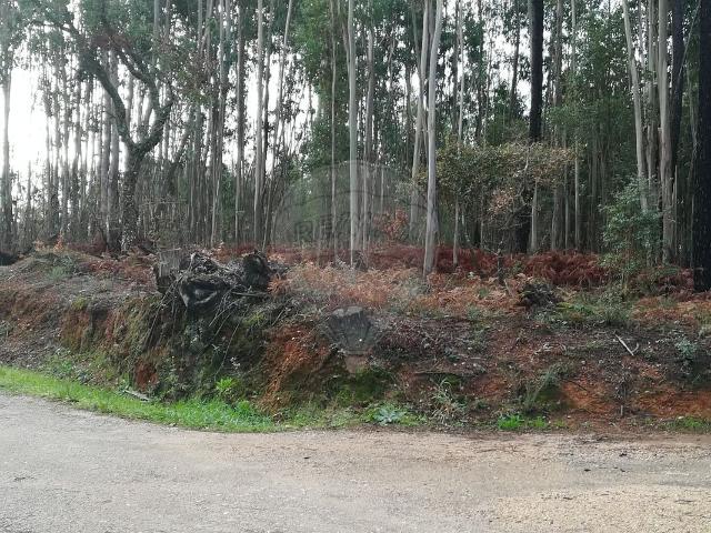 Terreno à venda em Ferreira do Zêzere