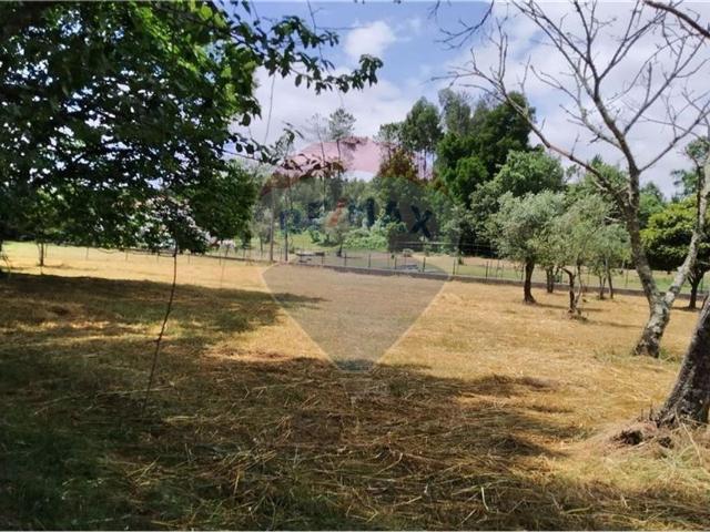 Terreno à venda em Ferreira do Zêzere