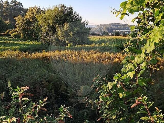 Terreno à venda em Ferreira, Paços de Ferreira RE/MAX Portugal