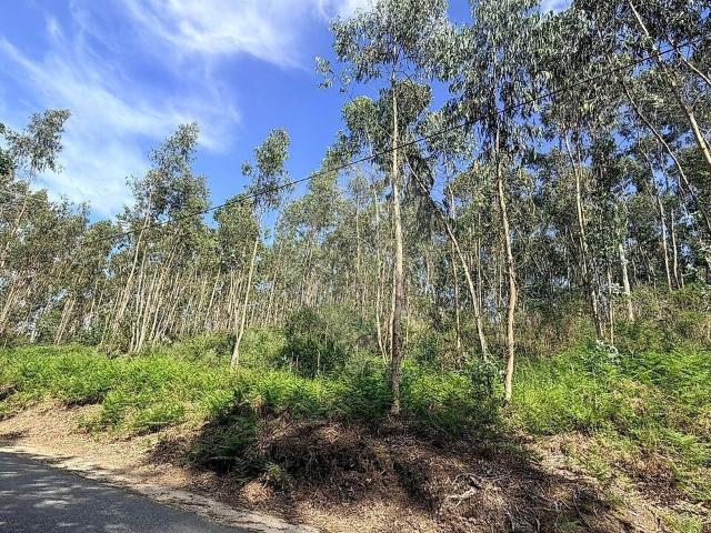 Terreno à venda em Ferreira, Paços de Ferreira RE/MAX Portugal