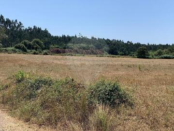 Terreno à venda em Figueira da Foz