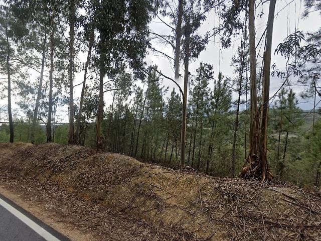 Terreno à venda em Fratel, Vila Velha de Ródão RE/MAX Portugal