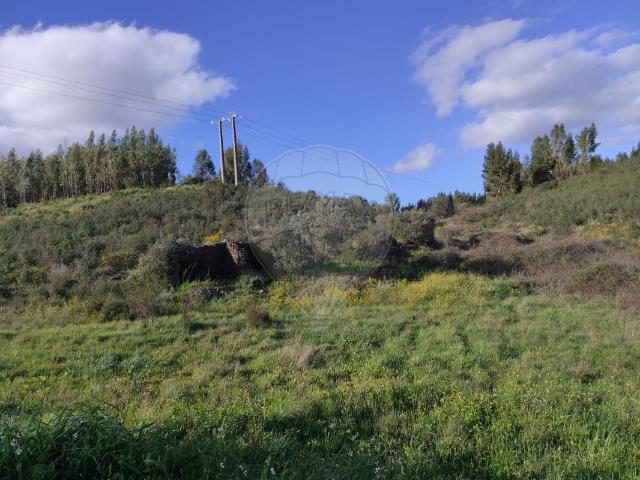 Terreno à venda em Fratel, Vila Velha de Ródão RE/MAX Portugal