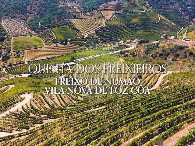 Terreno à venda em Freixo de Numão, Vila Nova de Foz Côa RE/MAX Portugal