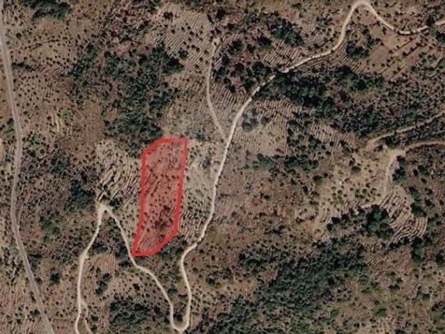 Terreno à venda em Freixo de Numão, Vila Nova de Foz Côa RE/MAX Portugal