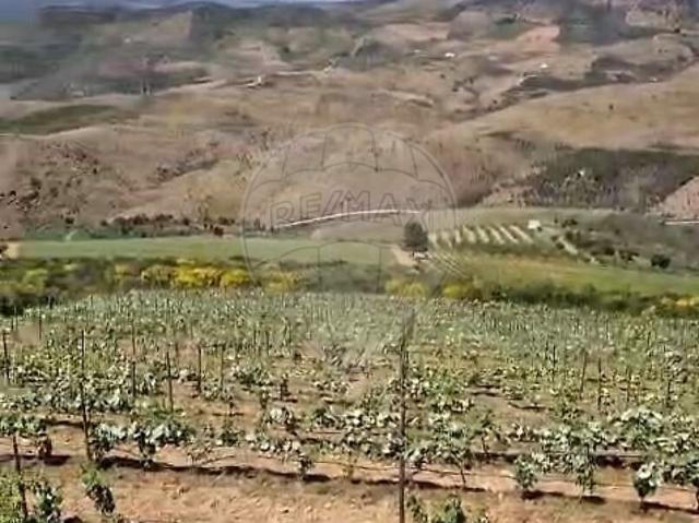 Terreno à venda em Freixo de Espada à Cinta e Mazouco, Freixo de Espada à Cinta RE/MAX Portugal