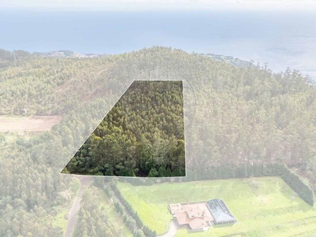 Terreno à venda em Funchal