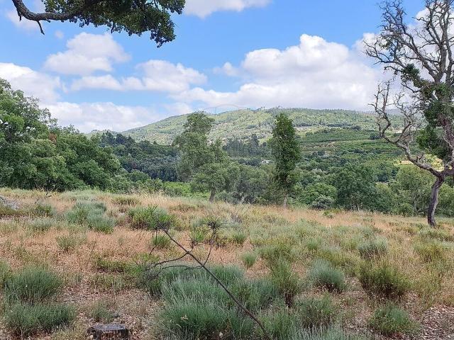 Terreno à venda em Fundão, Valverde, Donas, Aldeia de Joanes e Aldeia Nova do Cabo, Fundão RE/MAX Portugal