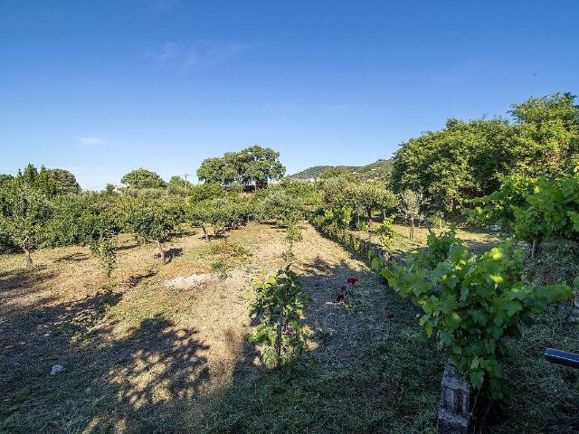 Terreno à venda em Fundão, Valverde, Donas, Aldeia de Joanes e Aldeia Nova do Cabo, Fundão RE/MAX Portugal