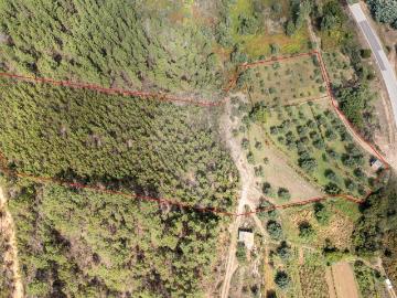 Terreno à venda em Fundão
