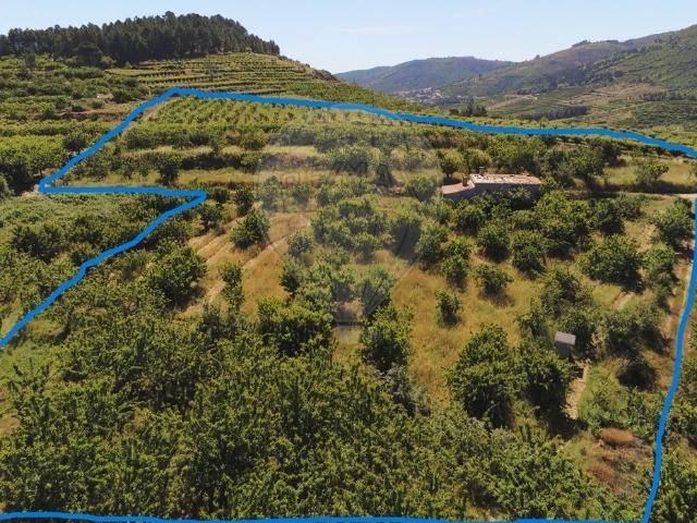 Terreno à venda em Fundão