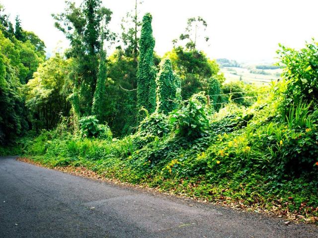 Terreno à venda em Praia do Almoxarife, Horta RE/MAX Portugal