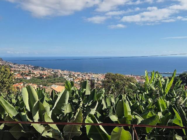 Terreno à venda em Imaculado Coração Maria, Funchal RE/MAX Portugal