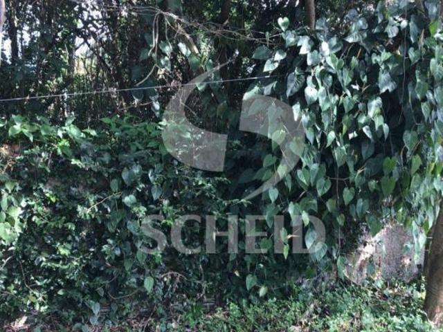 TERRENO A VENDA EM INTERLAGOS 790 M² ÚTIL BOLSÃO DE INTERLAGOS