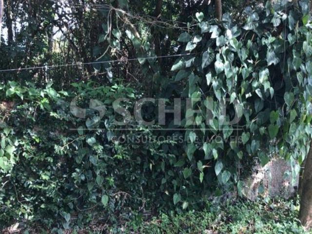 TERRENO A VENDA EM INTERLAGOS 790 M² ÚTIL BOLSÃO DE INTERLAGOS