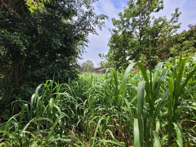 Terreno à venda em Interlagos SP