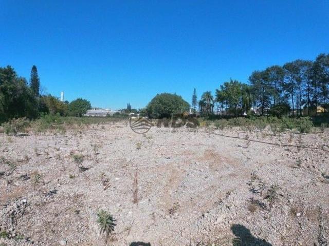 Terreno à venda em Independência