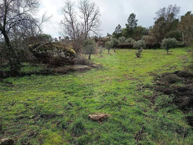 Terreno à venda em Inguias, Belmonte RE/MAX Portugal