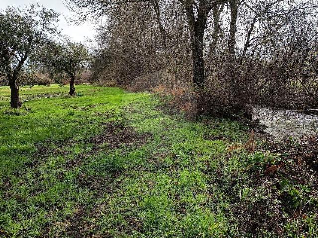 Terreno à venda em Inguias, Belmonte RE/MAX Portugal