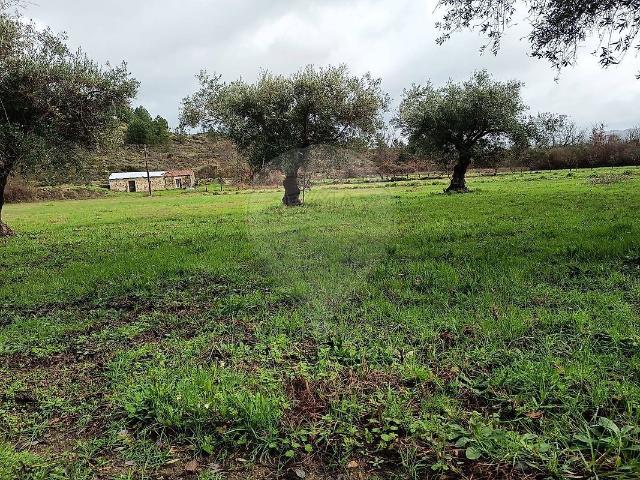 Terreno à venda em Inguias, Belmonte RE/MAX Portugal