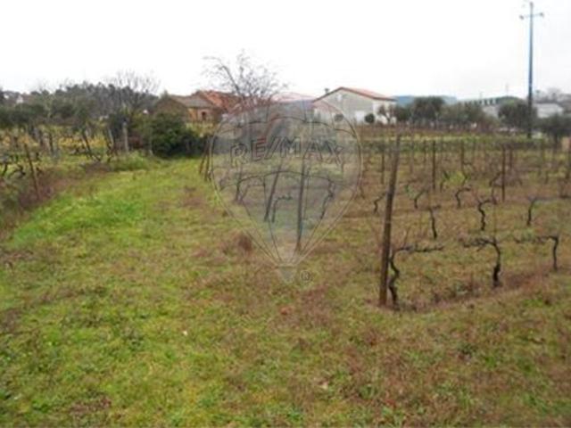 Terreno à venda em Insua, Penalva do Castelo RE/MAX Portugal