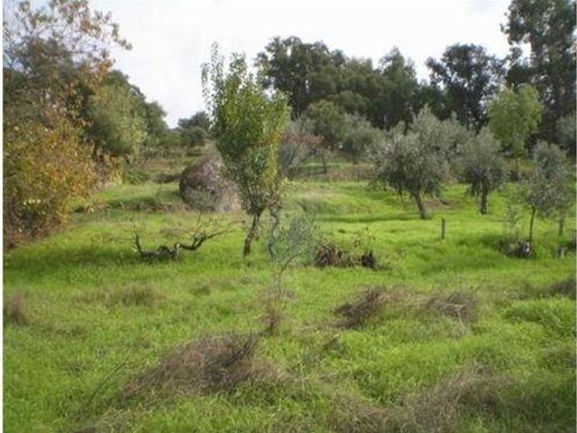 Terreno à venda em Idanha a Nova