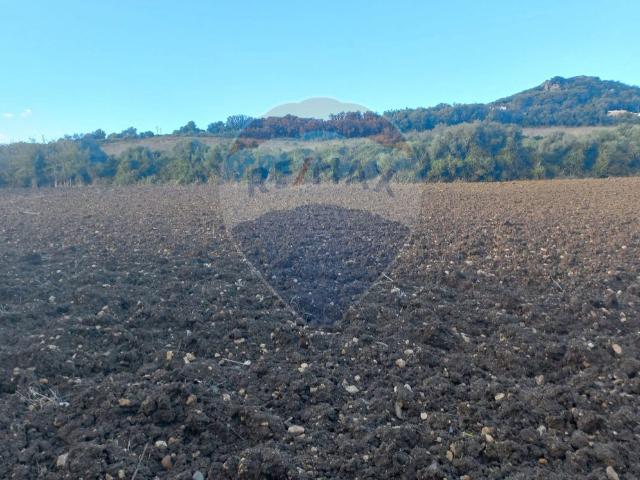 Terreno à venda em Igreja Nova e Cheleiros, Mafra RE/MAX Portugal