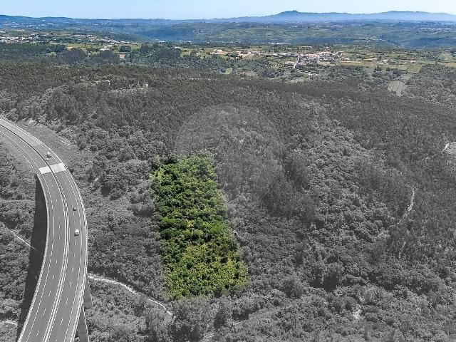 Terreno à venda em Igreja Nova e Cheleiros, Mafra RE/MAX Portugal