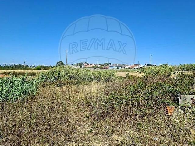 Terreno à venda em Igreja Nova e Cheleiros, Mafra RE/MAX Portugal